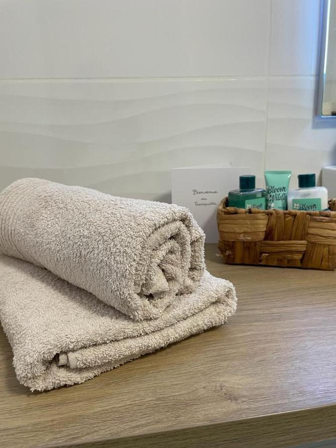 Le Tranquille - Calme - Parking Prive Apartment Ambilly ภายนอก รูปภาพ