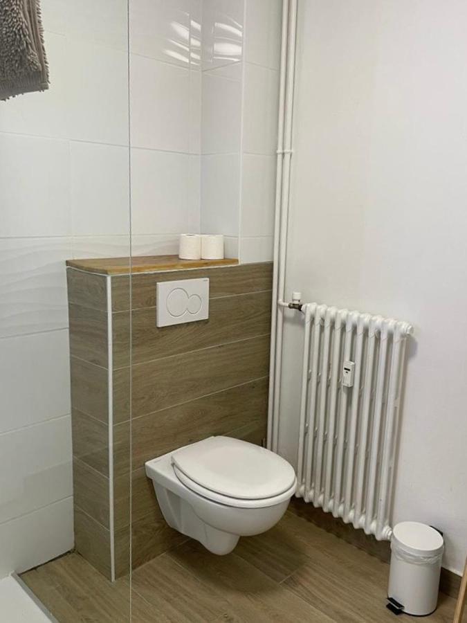 Le Tranquille - Calme - Parking Prive Apartment Ambilly ภายนอก รูปภาพ