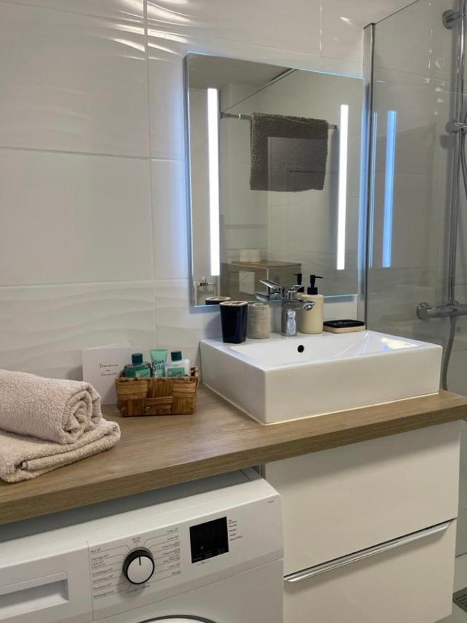 Le Tranquille - Calme - Parking Prive Apartment Ambilly ภายนอก รูปภาพ